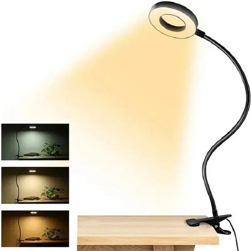 Lampe de Chevet Pince - Pince Lumière - Cocon de Lune