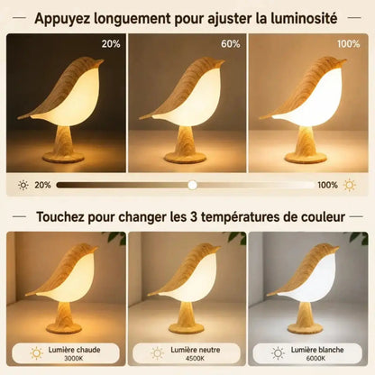 Lampe Oiseau Art Déco Tactile - Colibri | Cocon de Lune