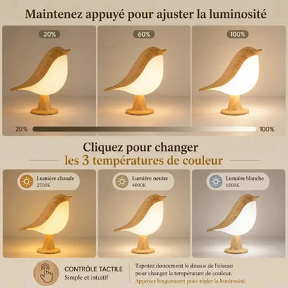 Lampe Oiseau Art Déco Tactile - Colibri | Cocon de Lune